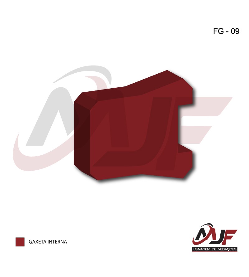 GAXETA INTERNA -FG-09
