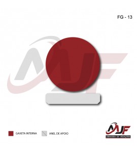 GAXETA INTERNA -FG-13
