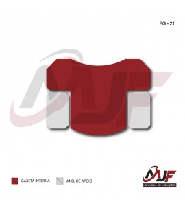 GAXETA INTERNA -FG-21