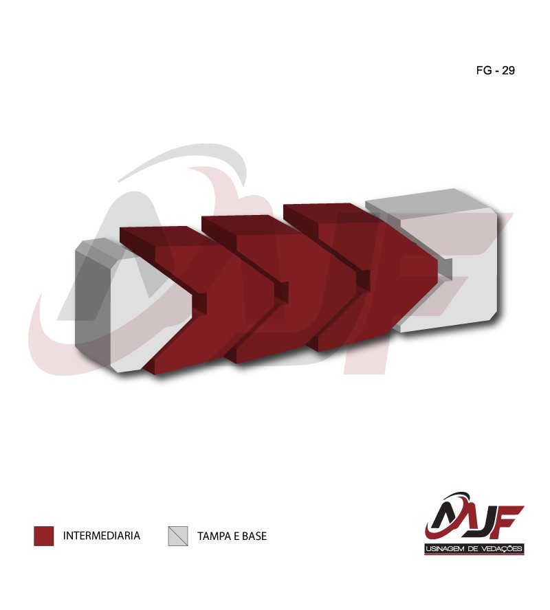GAXETA INTERNA -FG-29
